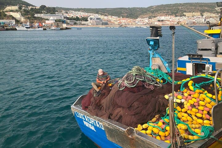 Private Half-Day Arrábida Tour with Wine Tasting from Sesimbra photo 2