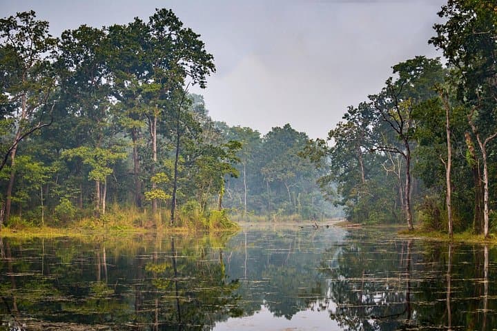 Silent Jeep Safari in Chitwan: Private Full-Day Wildlife Drive from Madi photo 3