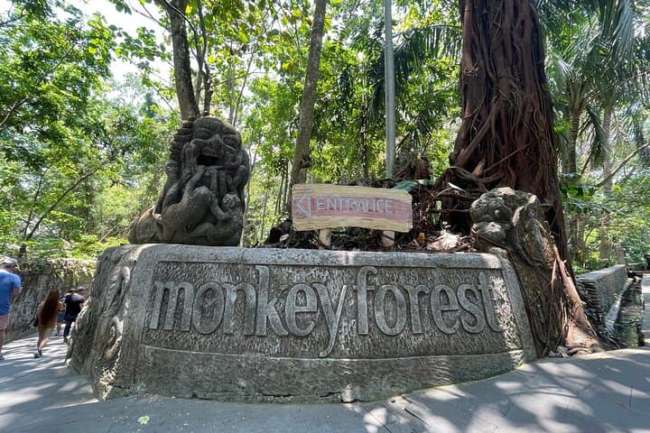 Explore Ubud Monkey Forest: Sacred Sanctuary Entrance Ticket & Guided Visit