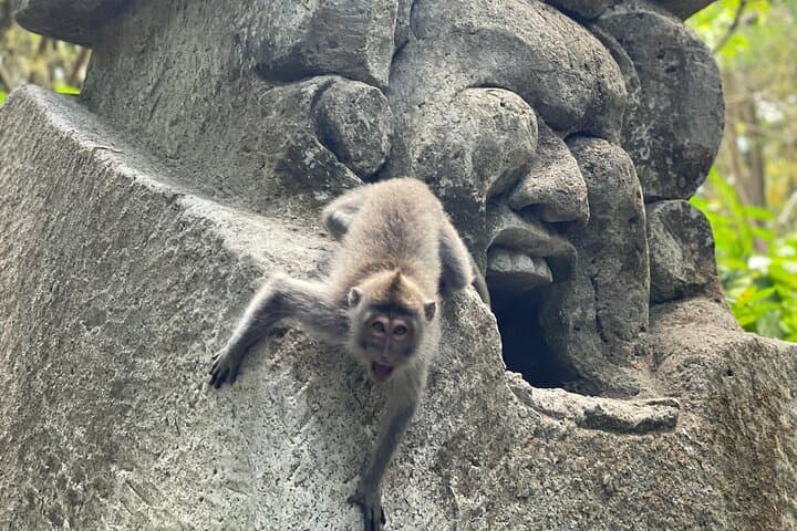 Explore Ubud Monkey Forest: Sacred Sanctuary Entrance Ticket & Guided Visit photo 3