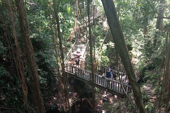 Explore Ubud Monkey Forest: Sacred Sanctuary Entrance Ticket & Guided Visit photo 5