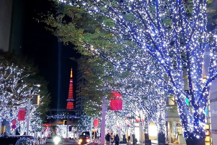 Tokyo Winter Illumination E-Bike Tour: Ride the City's Night Lights photo 6
