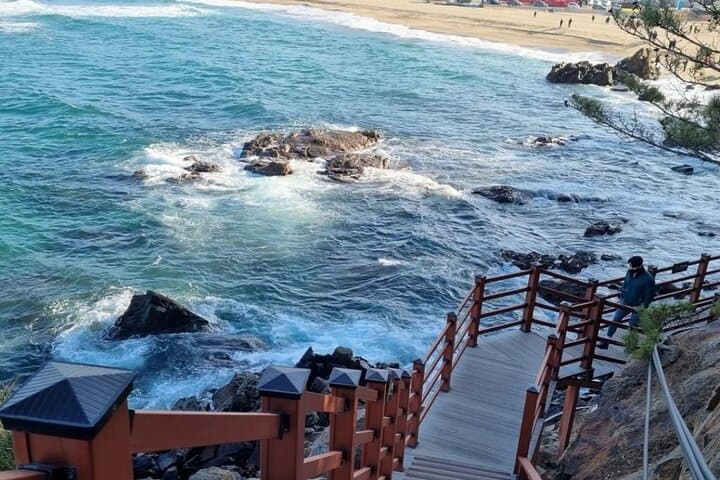 Seaside Uljin Day Trip — Skyrail, Heart Beach & Coastal Museum photo 5