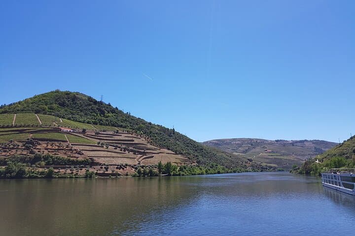Half-Day Douro Valley Private Tour — Port Tastings & Rabelo Boat
