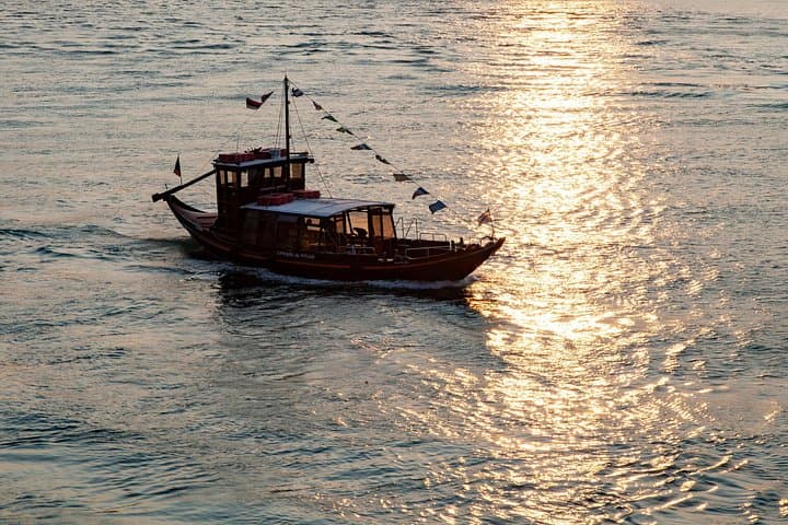Half-Day Douro Valley Private Tour — Port Tastings & Rabelo Boat photo 2