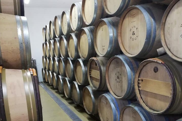 Half-Day Douro Valley Private Tour — Port Tastings & Rabelo Boat photo 4
