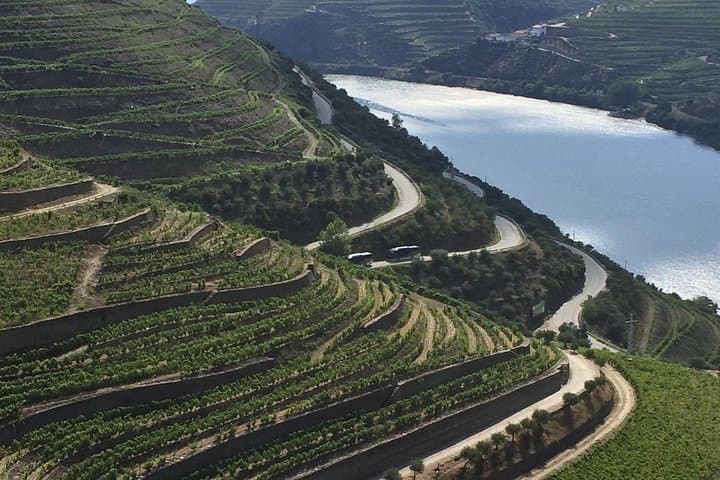 Half-Day Douro Valley Private Tour — Port Tastings & Rabelo Boat photo 5
