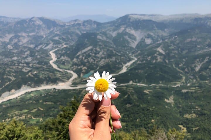 Tirana to Dajti: Full-Day Cable Car Tour and Forest Hike photo 5