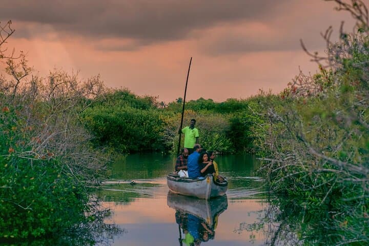 Kumarakom Sunset Canoe Cruise: Village Life, Birdwatching & Kerala Dinner photo 2