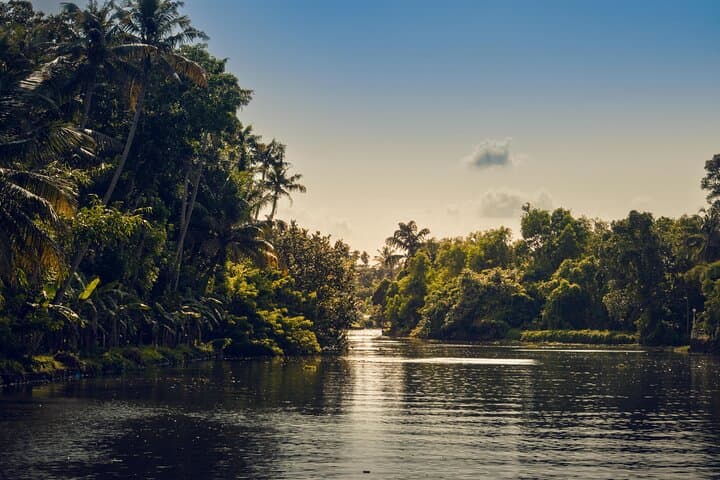 Kumarakom Sunset Canoe Cruise: Village Life, Birdwatching & Kerala Dinner photo 3