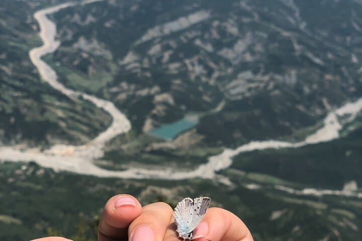 Tirana to Dajti: Full-Day Cable Car Tour and Forest Hike photo 4