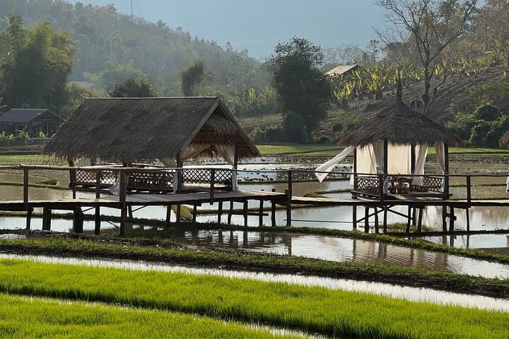 Private Rice Farming & Kuang Si Waterfall Tour from Luang Prabang photo 6