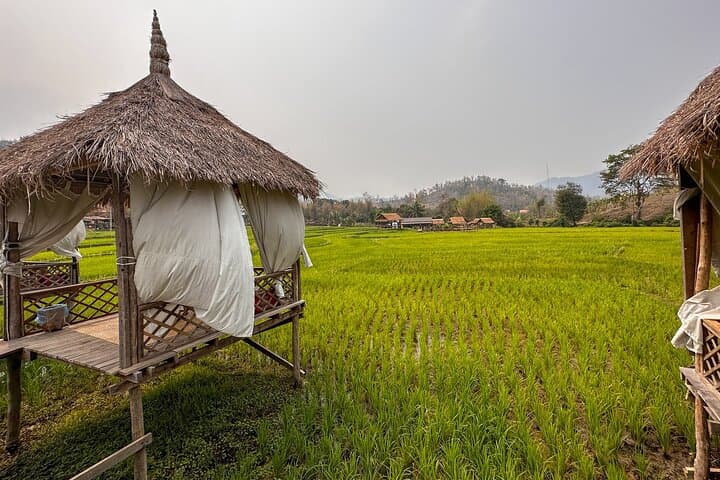Private Rice Farming & Kuang Si Waterfall Tour from Luang Prabang photo 2