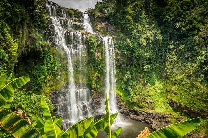Bolaven Plateau Waterfall Trek from Pakse — Tad Fane, Coffee Trails & Village Walks