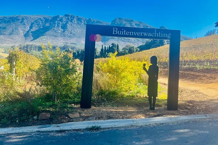 Private Constantia Wine Tour: Full-Day Tastings, Cape Malay Lunch & Groot Constantia Pairing photo 4
