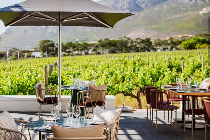 Private Constantia Wine Tour: Full-Day Tastings, Cape Malay Lunch & Groot Constantia Pairing photo 5