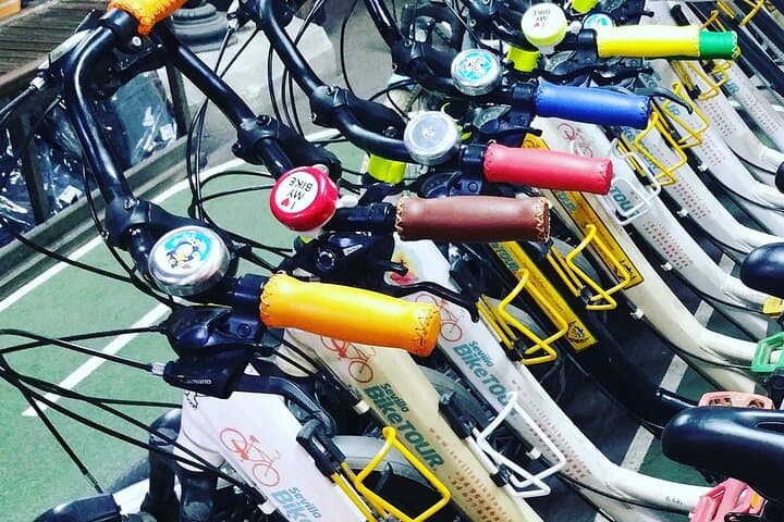 Explore Seville by Bike: 4+ Hour Rental and Self-Guided Routes photo 2