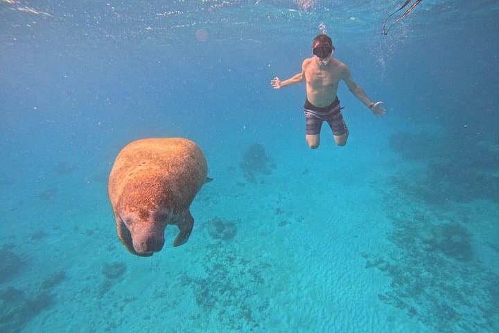 Snorkel Hol Chan Marine Reserve: Full-Day Tour from Caye Caulker photo 1
