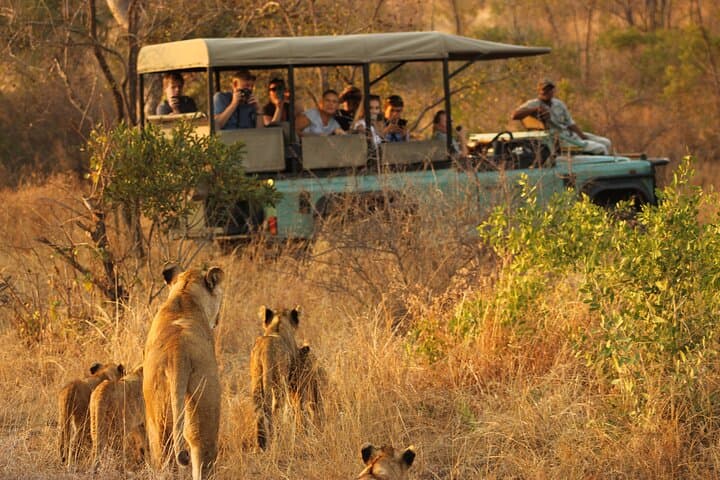 Private Full-Day Kruger Safari from Hoedspruit — Open Vehicle Big Five Experience photo 3