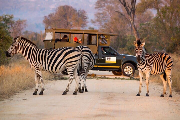 Private Full-Day Kruger Safari from Hoedspruit — Open Vehicle Big Five Experience photo 5