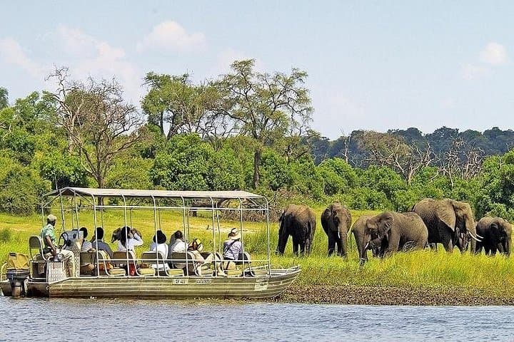 Chobe Day Trip from Victoria Falls: Boat Cruise & Game Drive in Chobe National Park photo 4