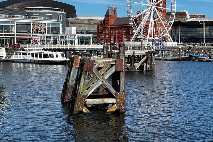 Cardiff Bay Self-Guided Walking Tour — Waterfront History, Wetlands & Culture photo 3