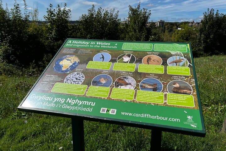 Cardiff Bay Self-Guided Walking Tour — Waterfront History, Wetlands & Culture photo 6