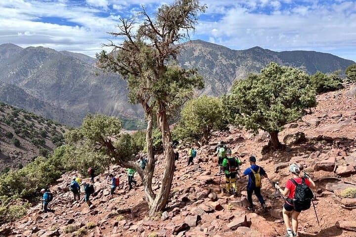 2-Day Toubkal Trek from Marrakech: Summit Mount Toubkal (4167 m) in 48 Hours photo 5
