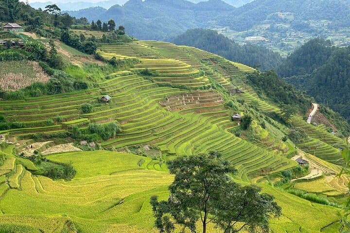 Ha Giang Comfort Car Loop: 4-Day Scenic Drive through Ma Pi Leng and Dong Van photo 3