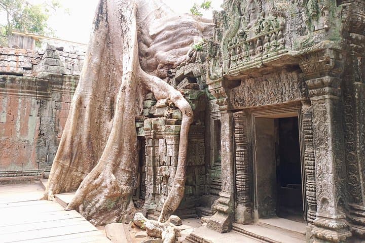 Sunrise at Angkor Wat: Private One-Day Tour to Angkor Thom, Ta Prohm & Bayon photo 4