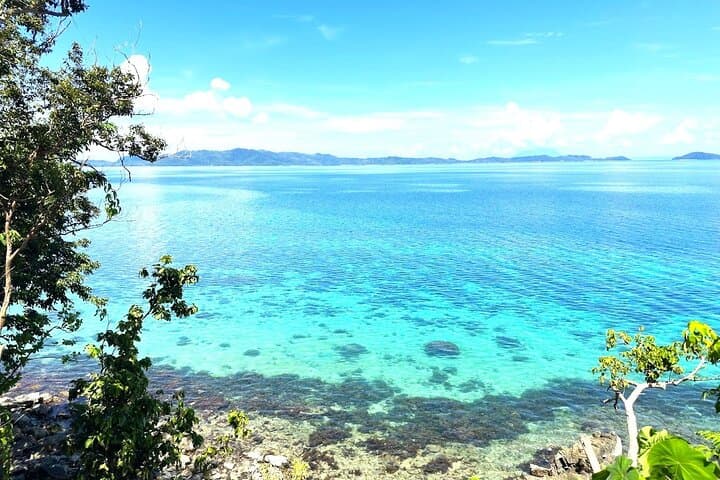 Port Barton Island Hopping and Turtle Snorkel Day Tour photo 5