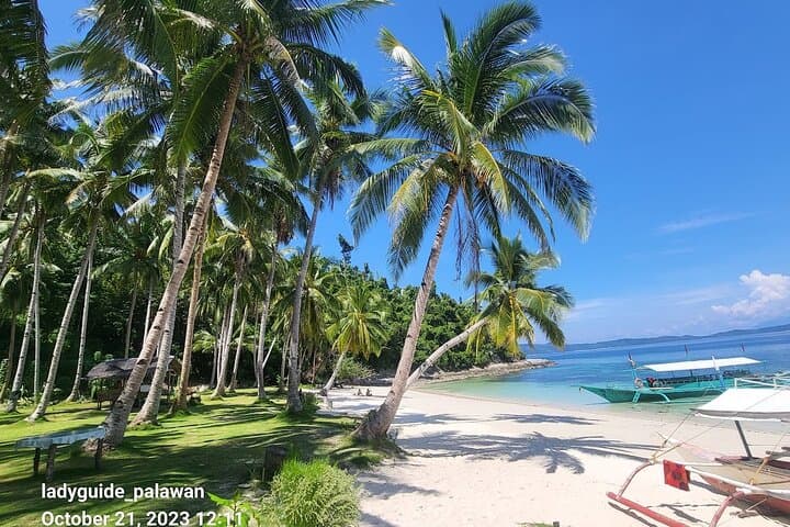 Port Barton Island Hopping and Turtle Snorkel Day Tour photo 6