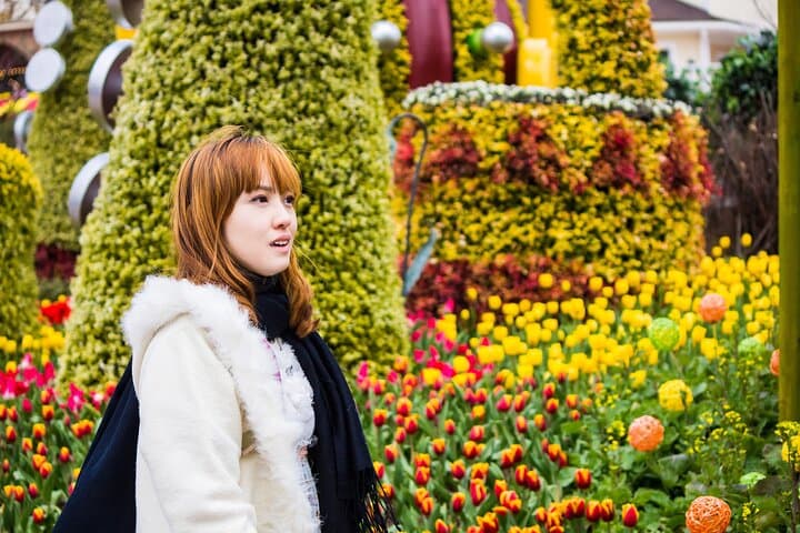 Private Full-Day Everland Theme Park Tour from Seoul photo 3