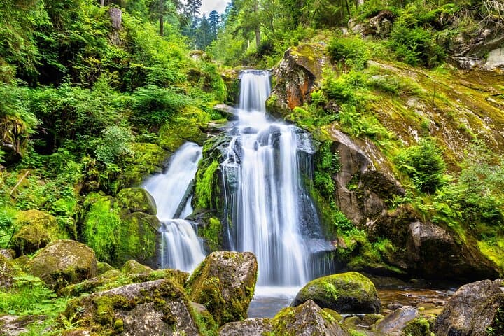 Zurich Day Trip: Rhine Falls, Triberg Waterfalls & Lake Titisee photo 4