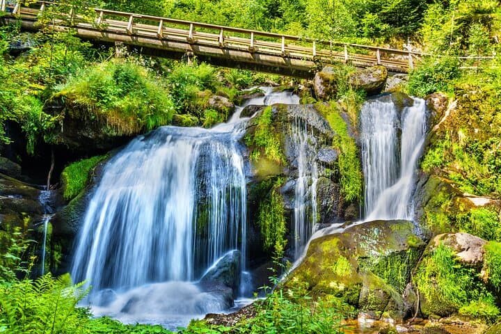 Zurich Day Trip: Rhine Falls, Triberg Waterfalls & Lake Titisee photo 5