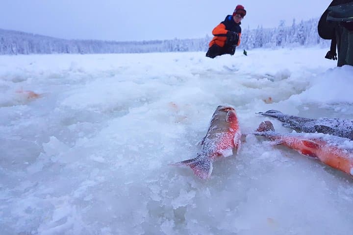 Ice Fishing for Arctic Char in Älvdalen: Guided Wilderness Day Trip photo 3