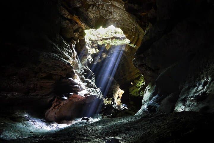 Exploring Manjanggul Cave & Jeju Stone Park: Private Full-Day Tour on Jeju Island photo 2
