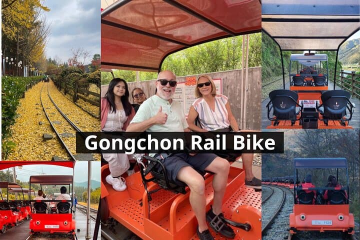 Seoul Day Trip to Nami Island, Petite France & Gangchon Rail Bike photo 3