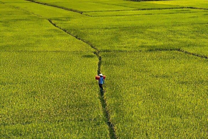 Ba Be Lake Adventure: Shuttle to Vietnam’s Largest Freshwater Lake photo 2