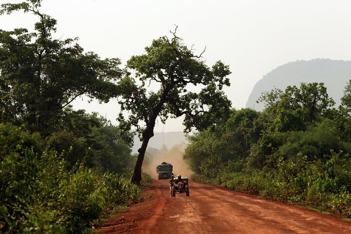 Half-Day Private Trek in Dong Natad: Savannakhet Forest & That Ing Hung Stupa photo 3