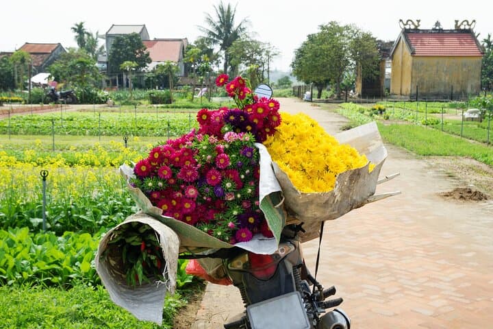 Hoi An Countryside Day Tour — Thanh Ha Pottery, Tra Que Vegetable Village & Bay Mau Coconut Forest photo 1