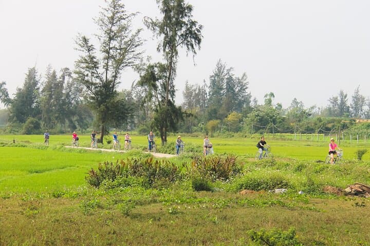 Hoi An Countryside Day Tour — Thanh Ha Pottery, Tra Que Vegetable Village & Bay Mau Coconut Forest photo 2
