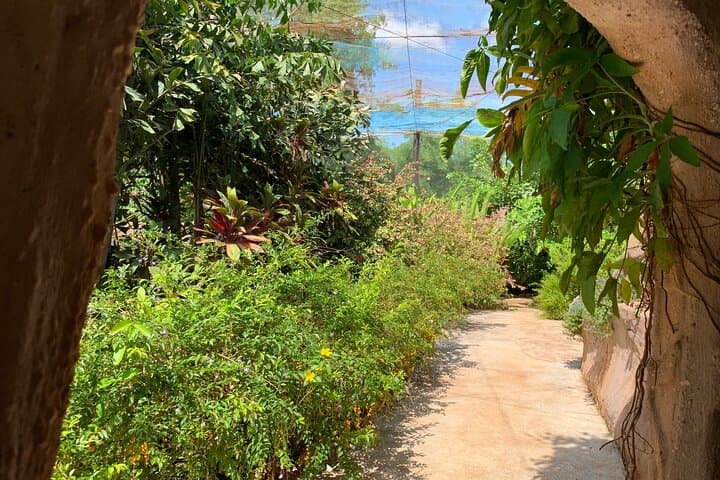 Mechrey Floating Village & Butterfly Paradise Day Tour from Siem Reap photo 3