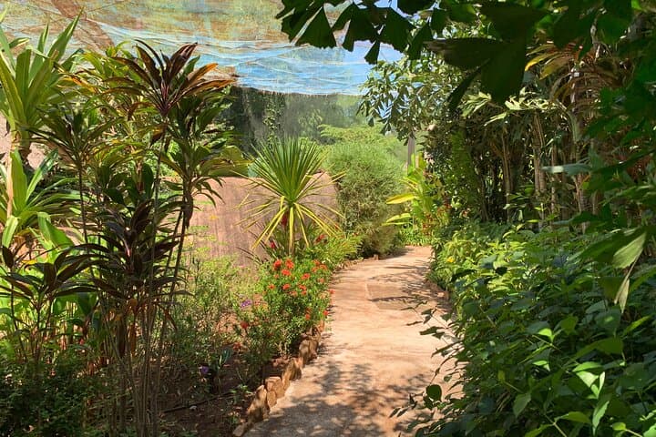Mechrey Floating Village & Butterfly Paradise Day Tour from Siem Reap photo 4