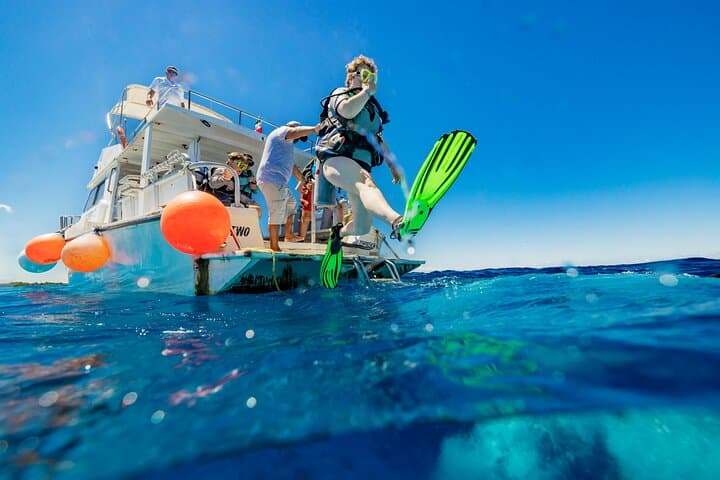Afternoon Reefs: Certified Diving Experience on Cozumel’s Barrier photo 4