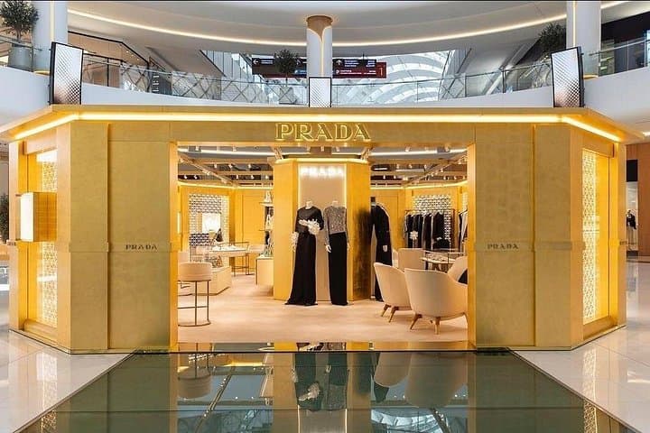 Dubai Mall Private Tour with Transfers — Aquarium, Ice Rink & Fountain Shows photo 3