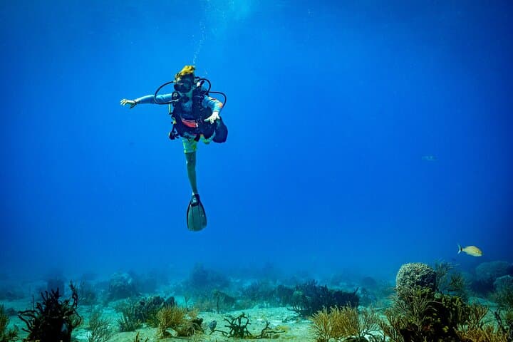 Cozumel Two-Tank Certified Dive: Best Reefs, Practical Tips & What to Expect photo 2