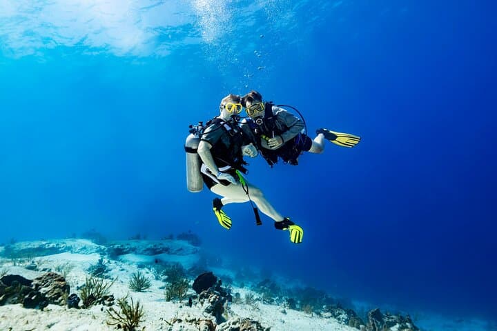 Cozumel Two-Tank Certified Dive: Best Reefs, Practical Tips & What to Expect photo 3