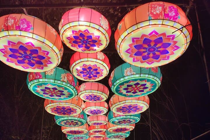 Chattanooga Holiday Lights Trolley Tour & Asian Lantern Festival Experience photo 1