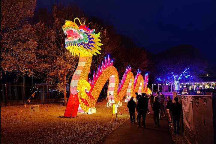 Chattanooga Holiday Lights Trolley Tour & Asian Lantern Festival Experience photo 2
